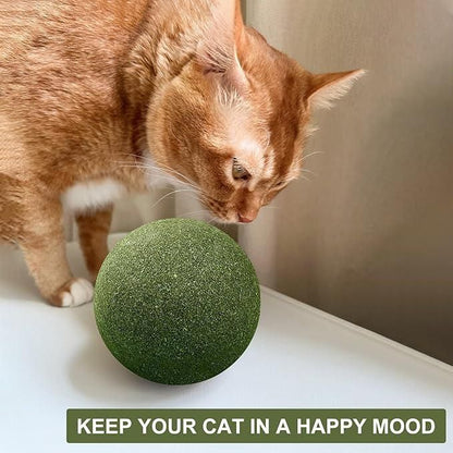 Cat Mint Toy Ball